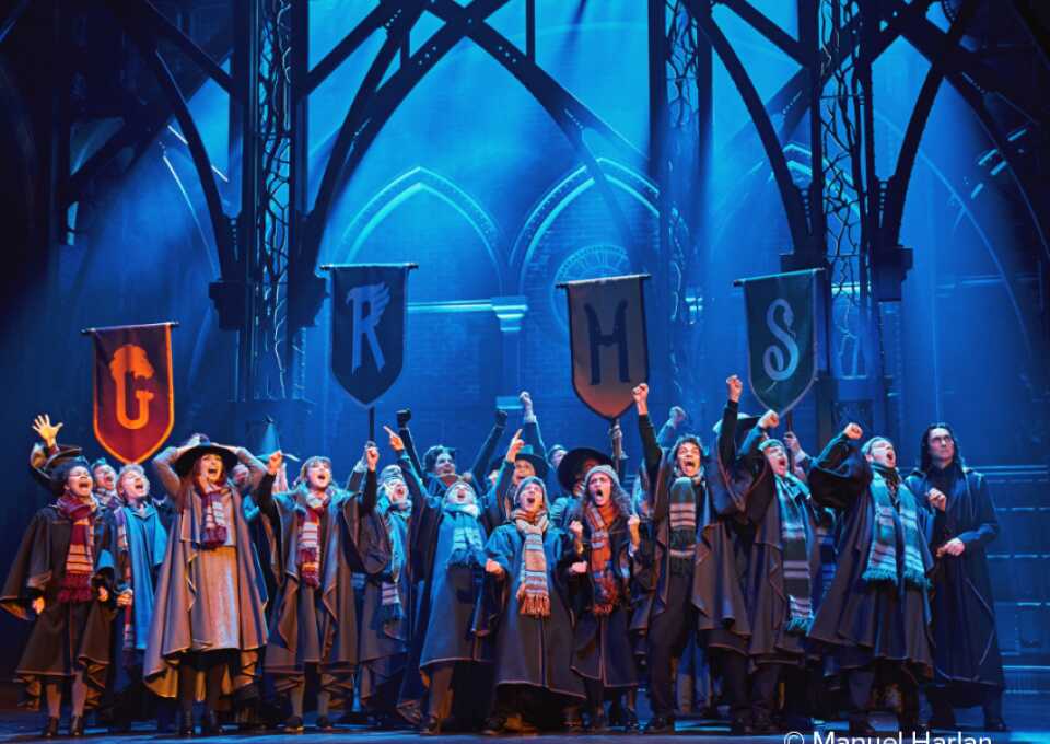 Harry Potter Theater