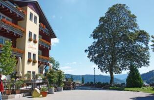 Berghotel Wiedener Eck-1