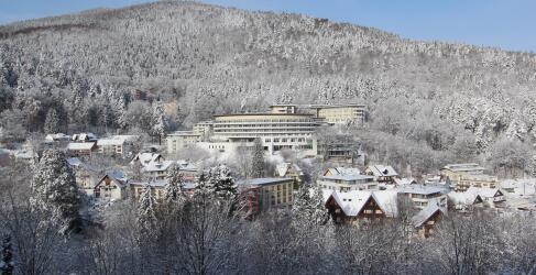 Schwarzwald Panorama-39