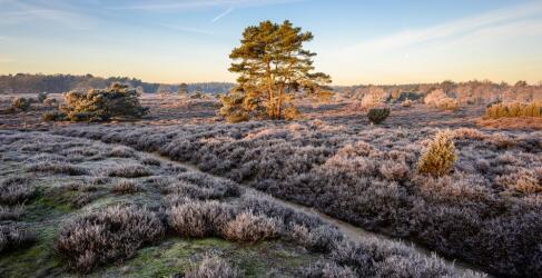 Fletcher Familiehotel De Hunzebergen-2