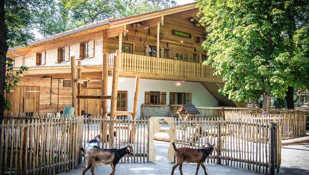 Blick auf ein großes, zweistöckiges Holzgebäude im ländlichen Stil mit einem langen Holzbalkon und der Aufschrift „TIERPARKSCHULE“. Im Vordergrund befindet sich ein umzäuntes Außengehege, in dem mehrere Ziegen auf einer Sandfläche herumlaufen. Das Gehege ist von einem niedrigen Holzlattenzaun umgeben und wird von grünen Bäumen gesäumt.