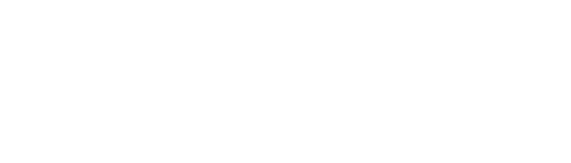 Travelcircus