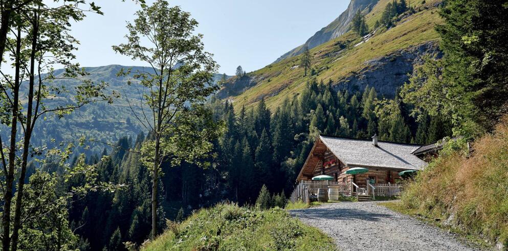 Mooslehenalm by Grossarler Hof