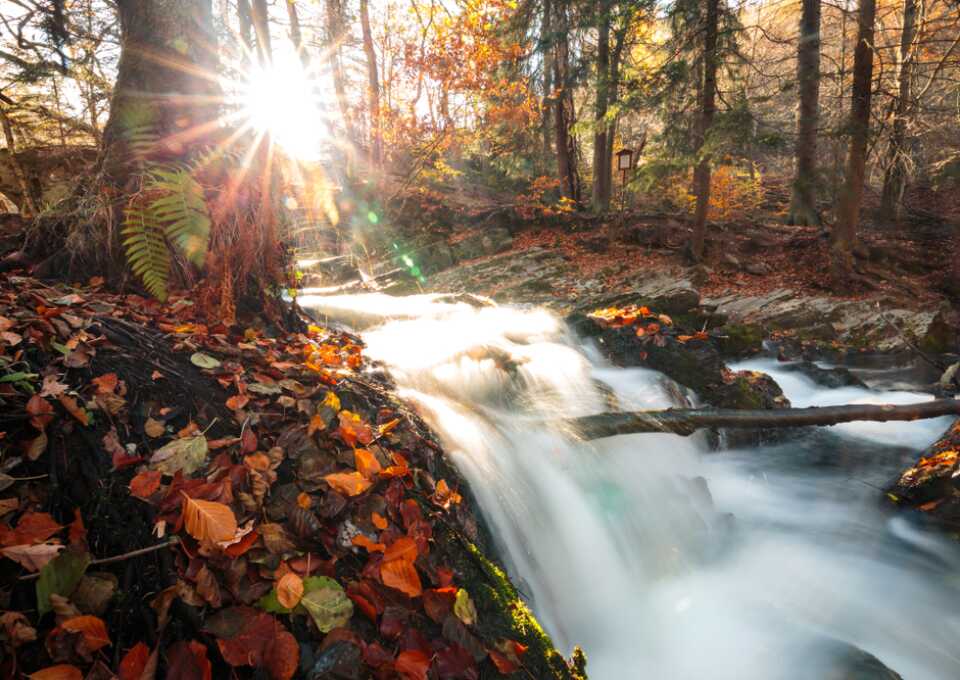 Harz