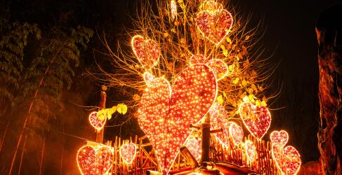 weihnachten-im-tierpark-3