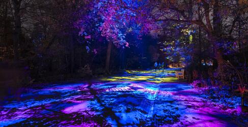 weihnachten-im-tierpark-5