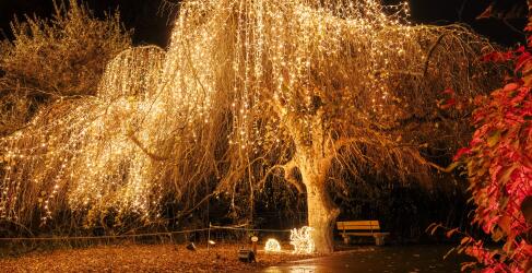 weihnachten-im-tierpark-2
