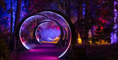 christmas-garden-hamburg-2