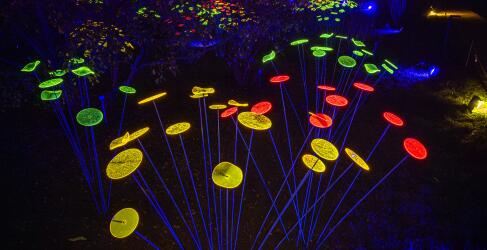 christmas-garden-hamburg-3