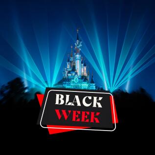 Walt Disney Studios® Park Takeover –  A Private Disneyland Experience