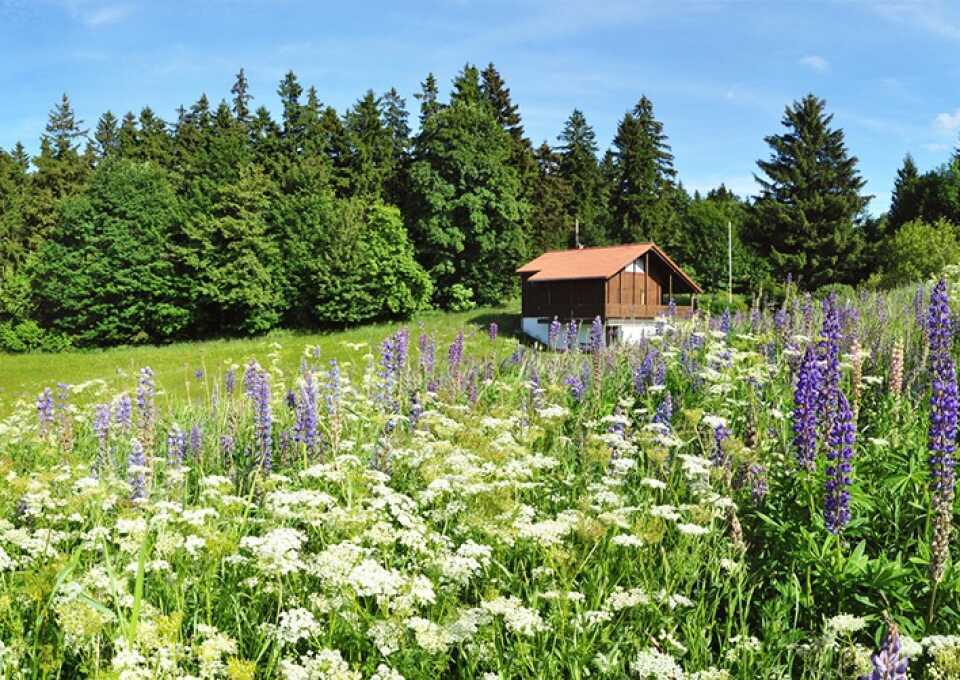 Wellnesshotel Thüringen