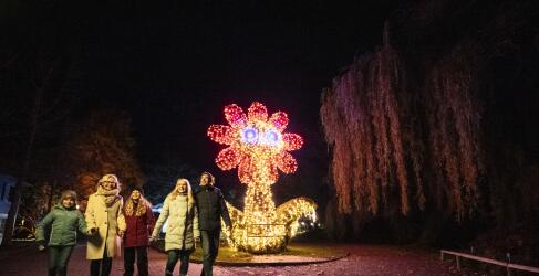 Christmas Garden Mainau-5
