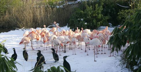 erlebnis-zoo-hannover-12
