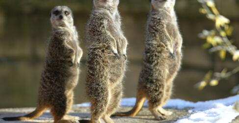 erlebnis-zoo-hannover-1