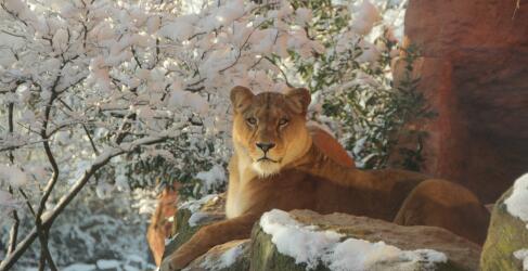 erlebnis-zoo-hannover-14