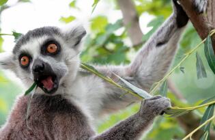 Ein tierischer Familienspaß im viertältesten Zoo Deutschlands