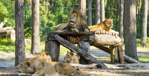 hotel-heide-kroepke-1