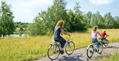Center Parcs – Limburgse Peel-0