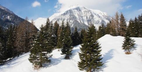 carpe-solem-rauris-41